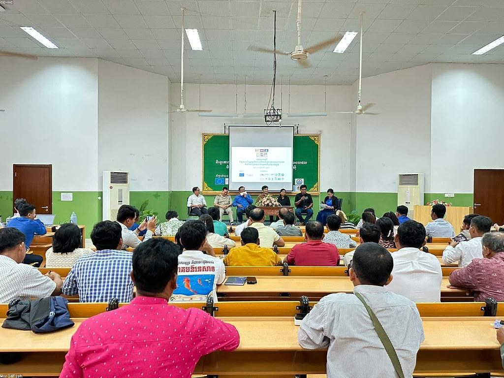 មេរៀនល្បែង: ការបង្កើនចំណេះដឹងនិងជំនាញ