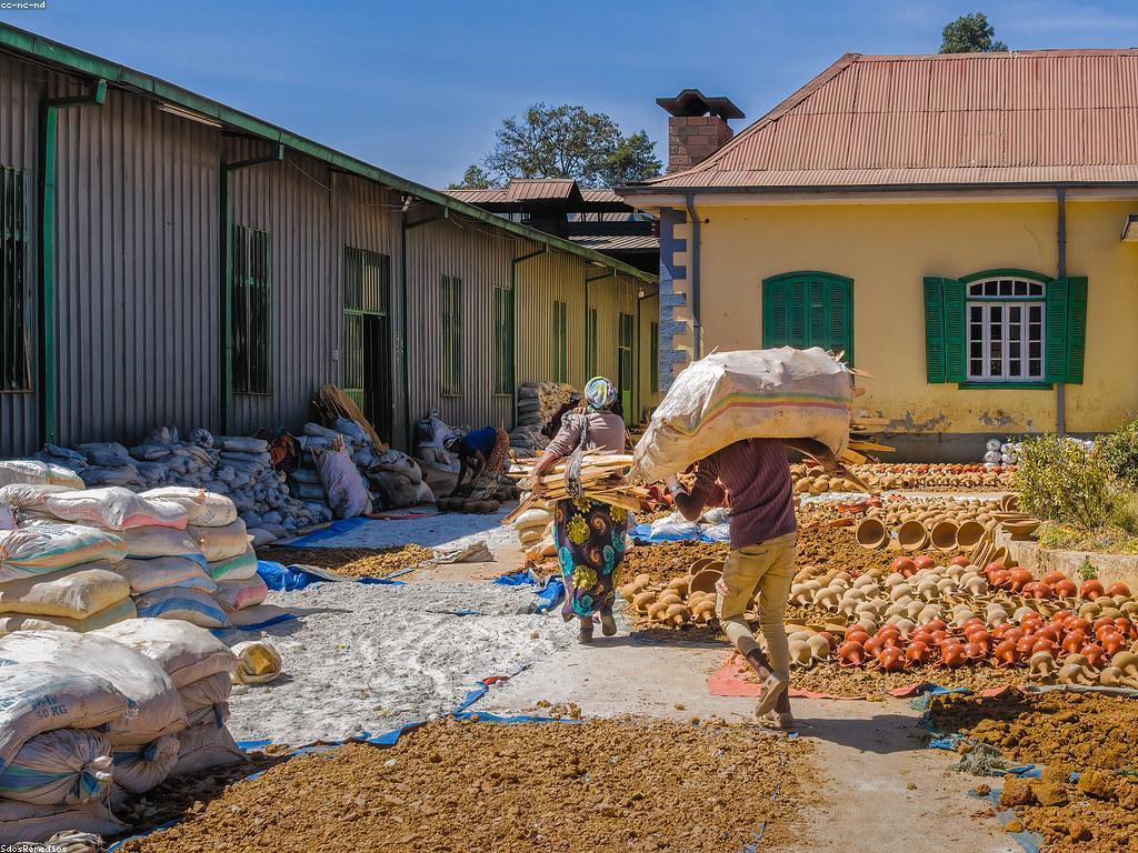 សិល្បៈនៃការបង្ហាញល្បែង